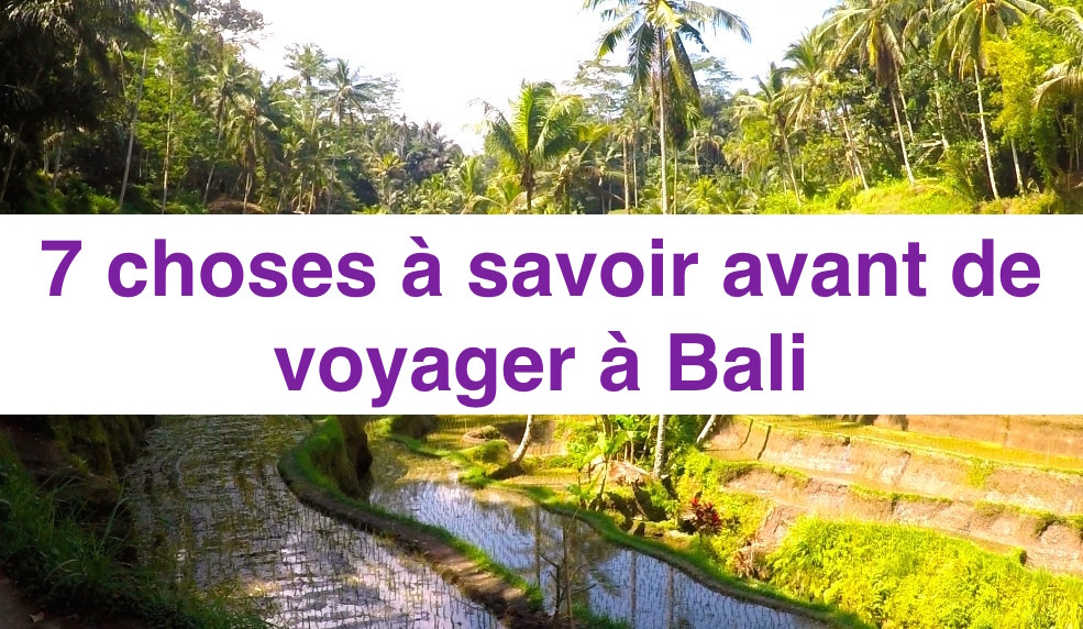 vaccin a faire pour bali