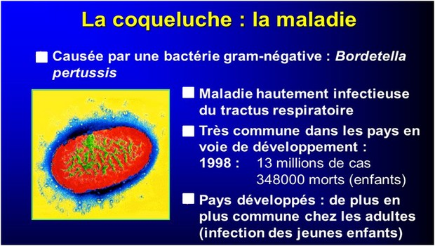 vaccin de la coqueluche