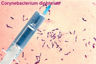 vaccin diphterie