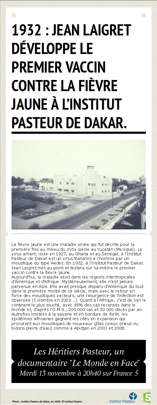 vaccin fievre jaune pasteur