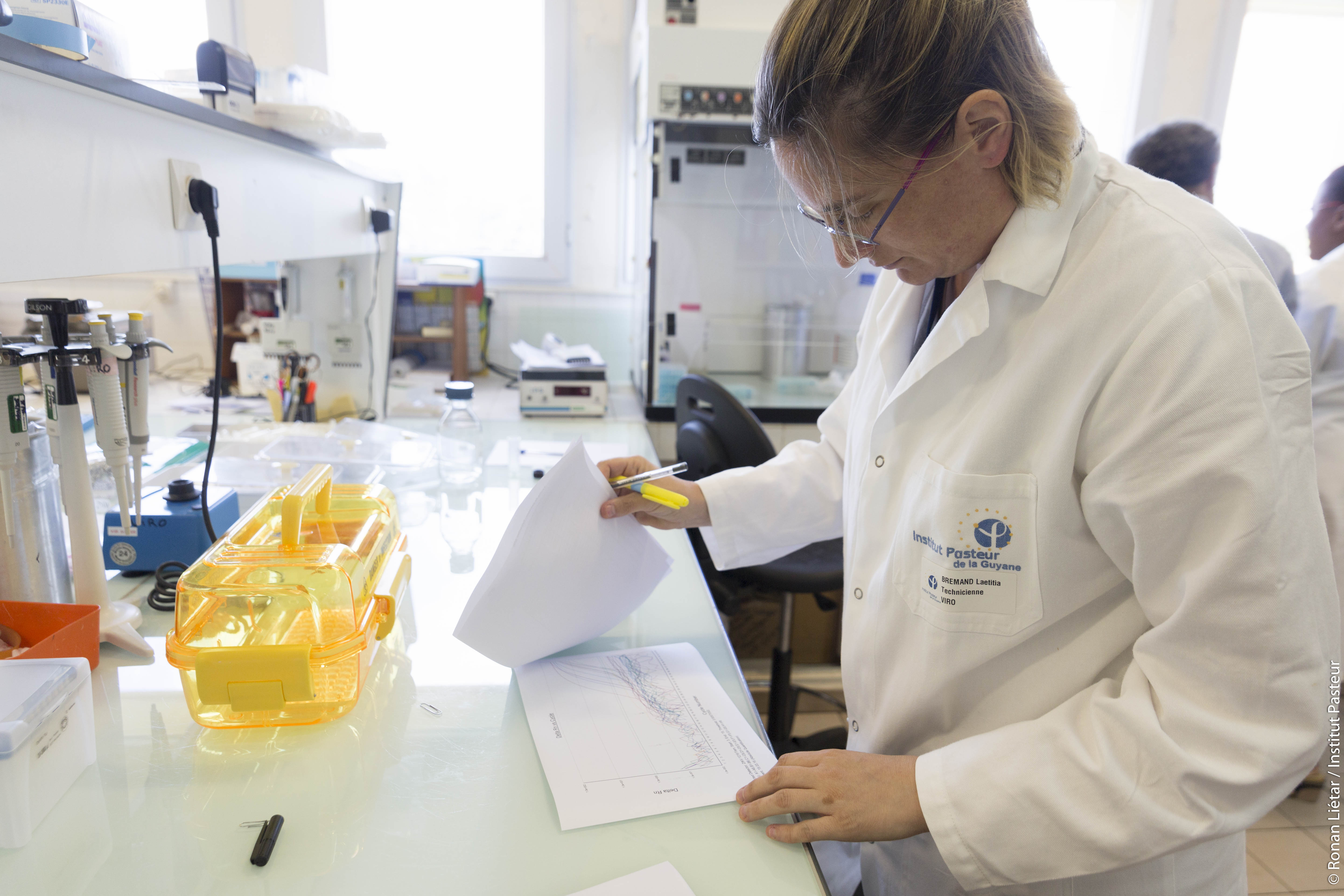 vaccin fievre jaune pasteur