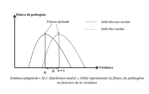 vaccin grippe duree protection
