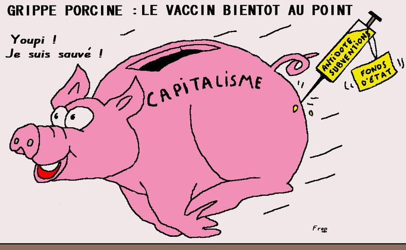 vaccin grippe porcine