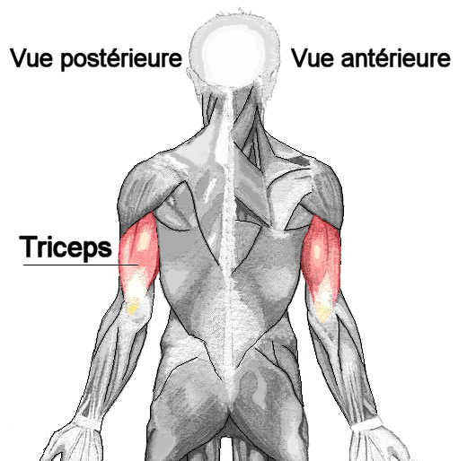 vaccin grippe sous cutane