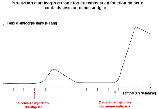 vaccin grippe temps efficacite