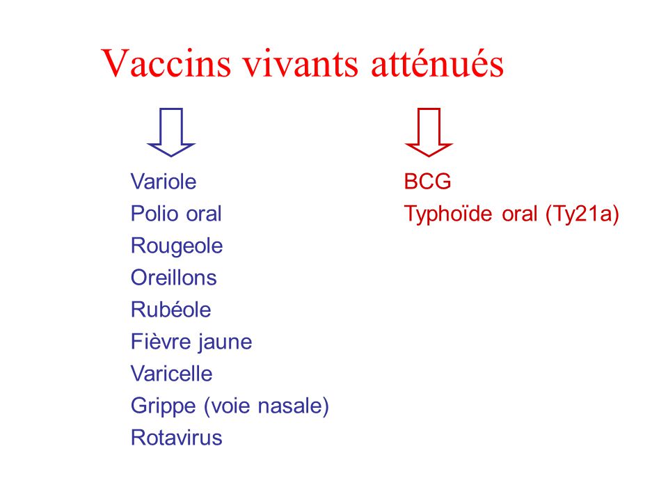 vaccin grippe typhoide