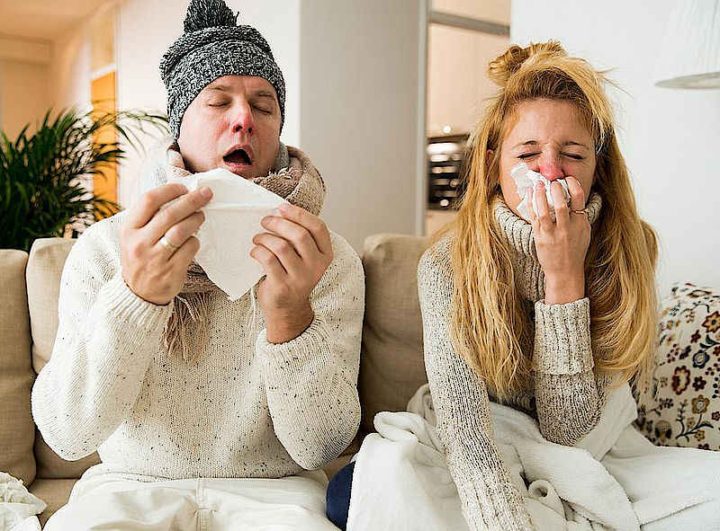 vaccin grippe ulaval