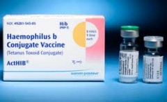 vaccin haemophilus