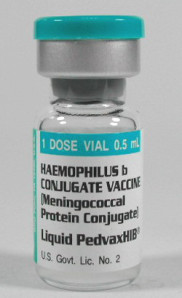 vaccin haemophilus