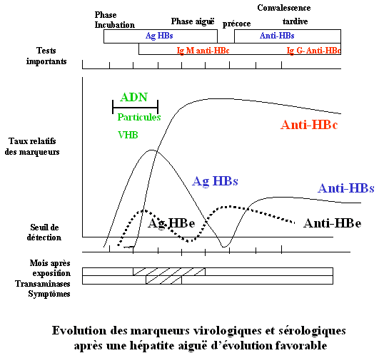 vaccin hepatite b anti-hbs