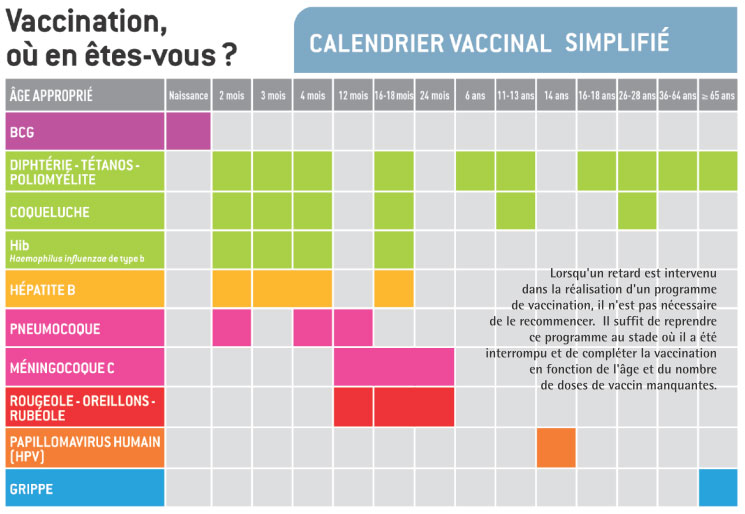 vaccin hepatite b calendrier