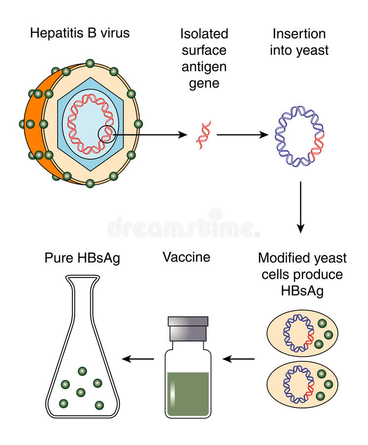 vaccin hepatite b et a