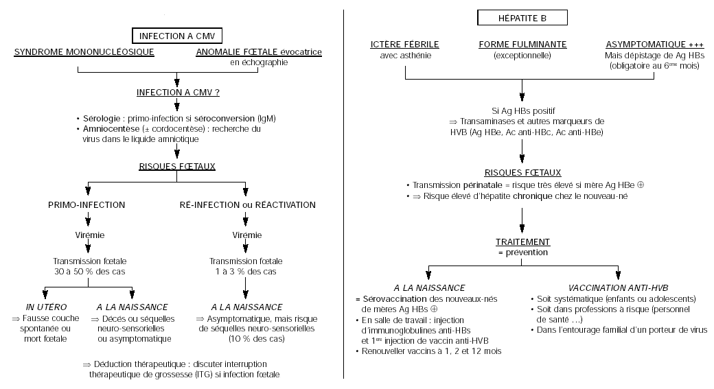vaccin hepatite b et grossesse