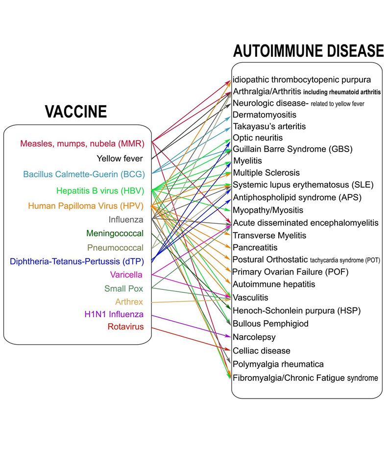 vaccin hepatite b et lupus