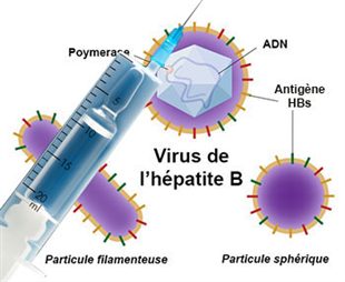 vaccin hepatite b et lupus