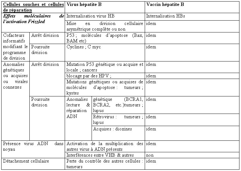 vaccin hepatite b maroc