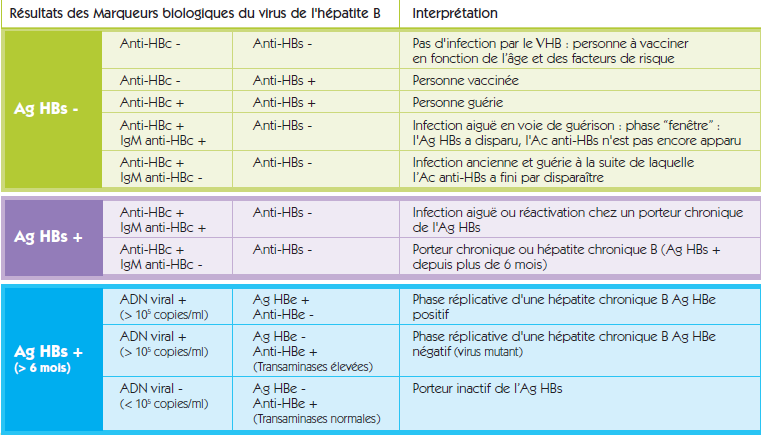 vaccin hepatite b serologie