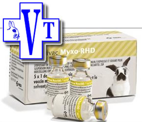 vaccin nobivac lapin