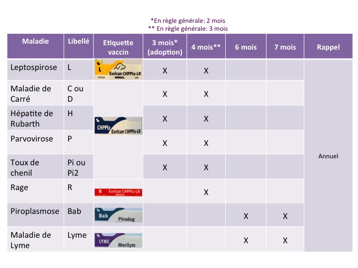 vaccin obligatoire pour un chien