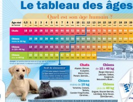 vaccin obligatoire pour un chien