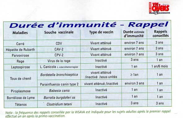 vaccin obligatoire rage