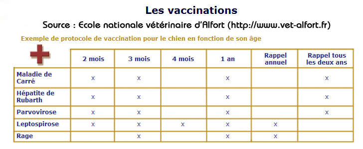 vaccin obligatoire rage