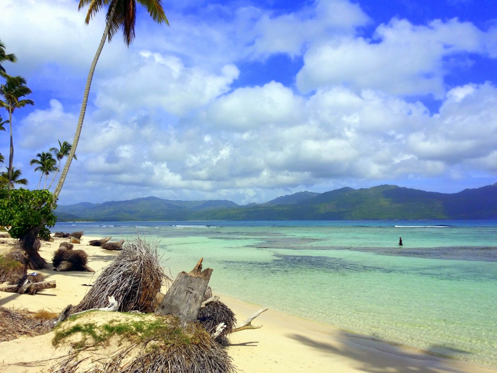 vaccin obligatoire republique dominicaine