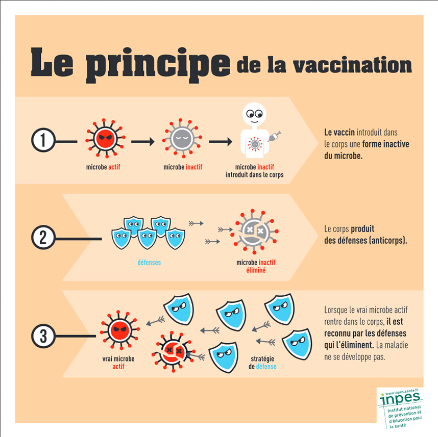 vaccin qu'est ce que c'est