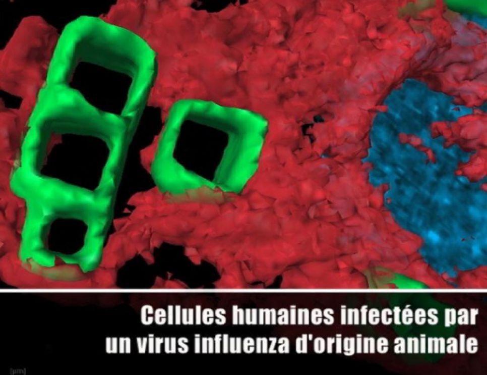 vaccin qu'est ce que c'est