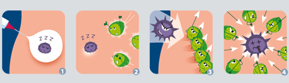 vaccin qu'est ce que c'est