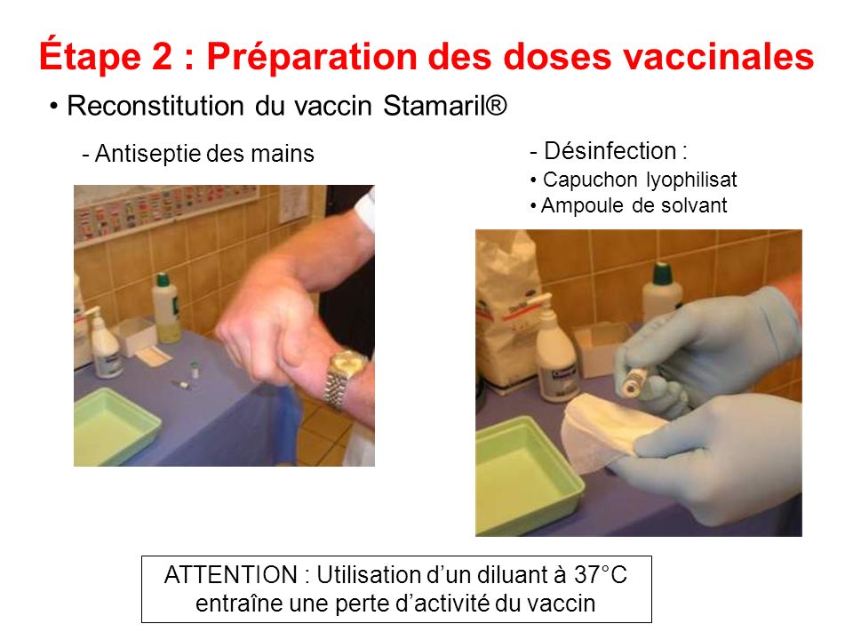 vaccin stamaril