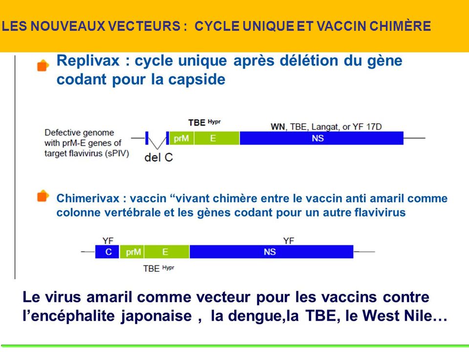 vaccin unique